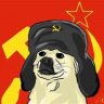 RUSSIAN_DOGGO_999
